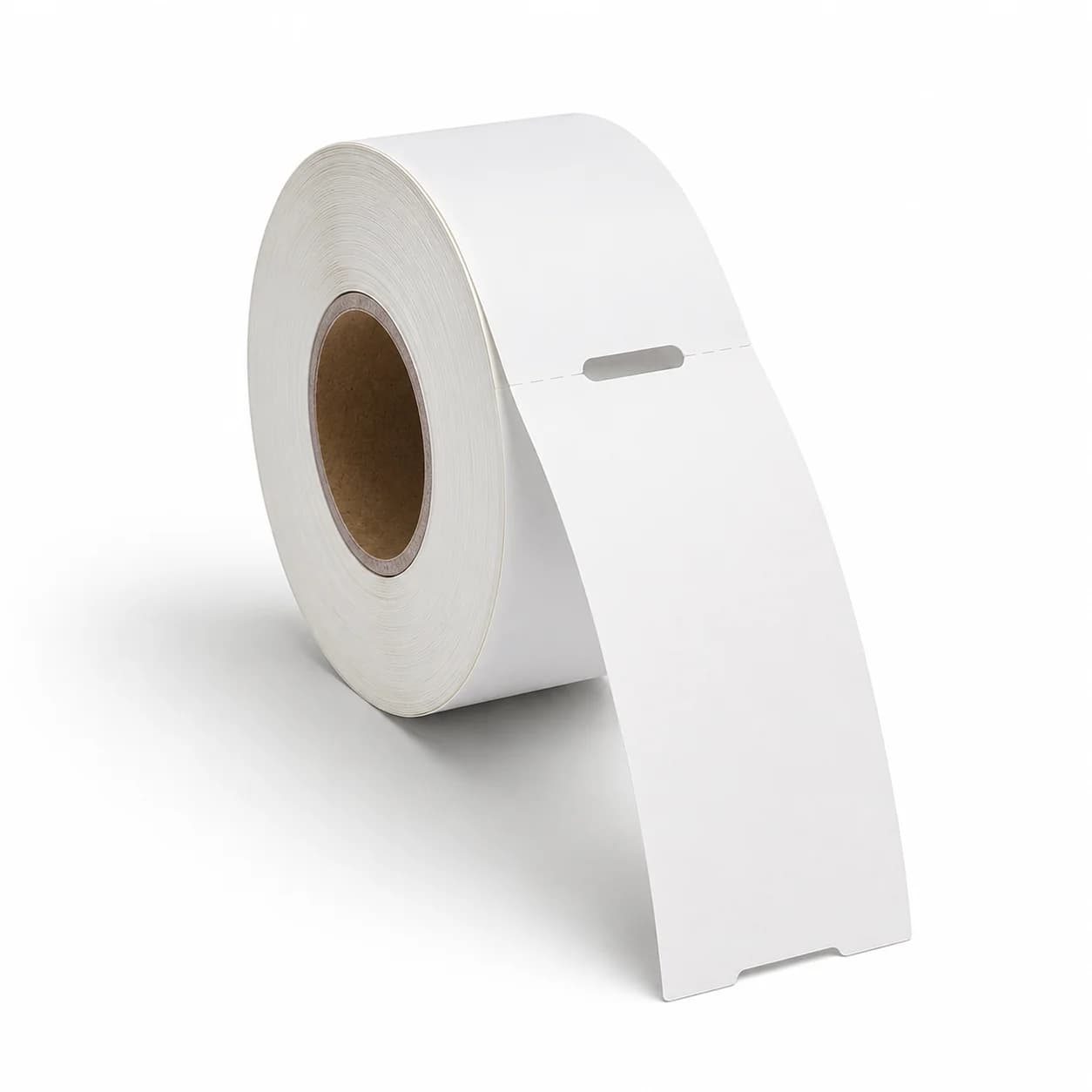 Cardboard Tags
